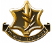IDF